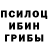 Псилоцибиновые грибы мухоморы Guljan Narziyeva