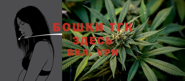 прущие грибы Навашино