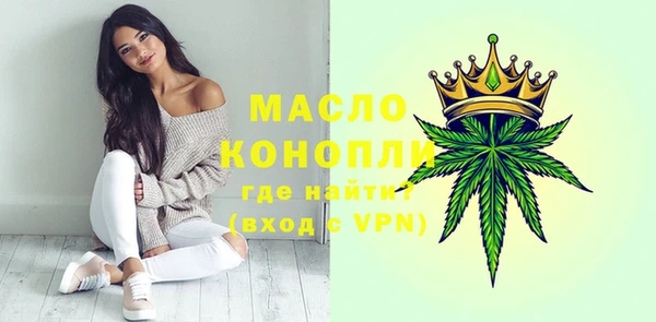 гидра Надым