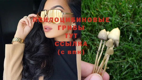 а пвп мука Аша