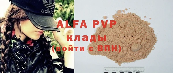 гидра Надым