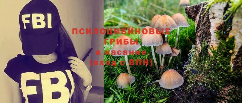 Псилоцибиновые грибы Magic Shrooms  наркотики  ссылка на мегу ТОР  Новопавловск 