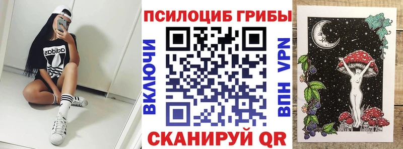 Псилоцибиновые грибы Psilocybine cubensis KRAKEN ссылка Новопавловск как найти закладки
